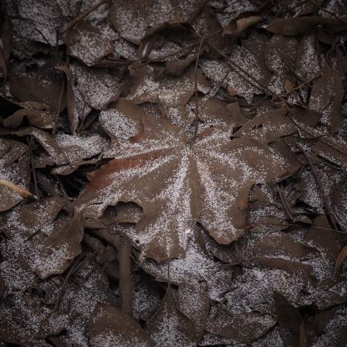 Photo #12998907