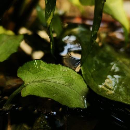 Photo #12998963