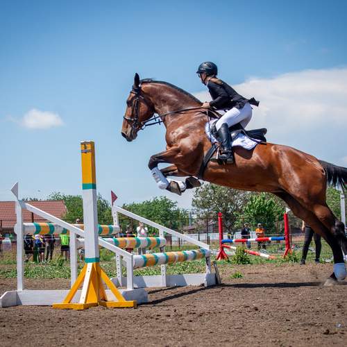 Фотография #12999195