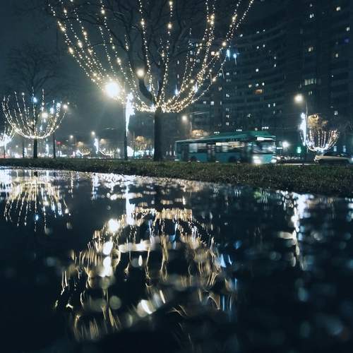 Photo #12999242