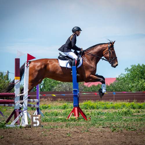 Фотография #12999272