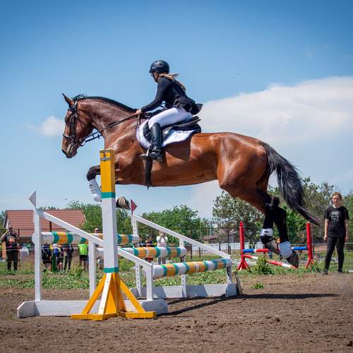 Фотография #12999276