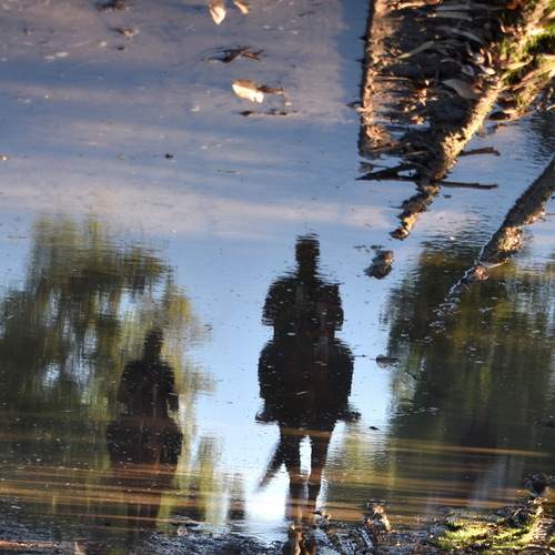 انعکاس اسی های عصر گاهی در اب برکه