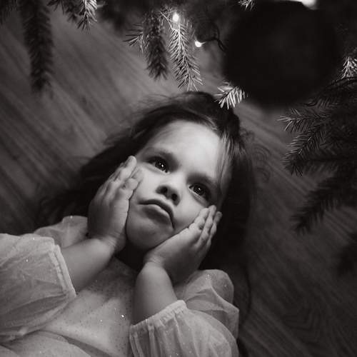 Photo #12999381