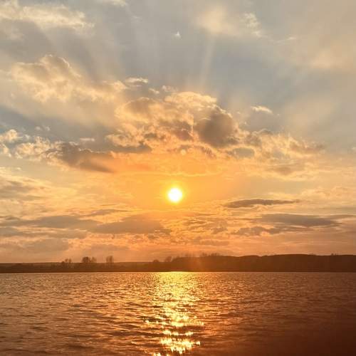 Photo #12999804