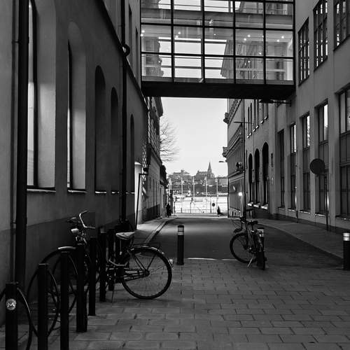 Photo #12999806