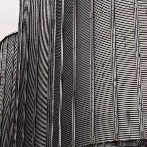 Photo #13000056