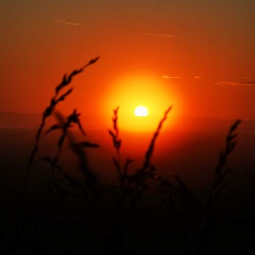Photo #13000195