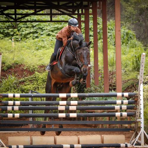 Photo #13000216