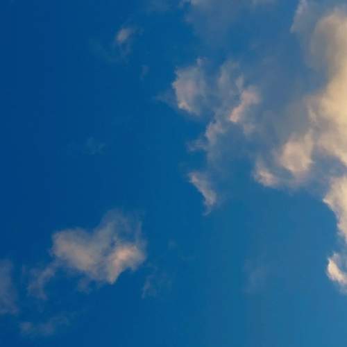 Photo #13000324