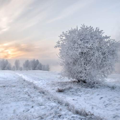 Замерло всё...