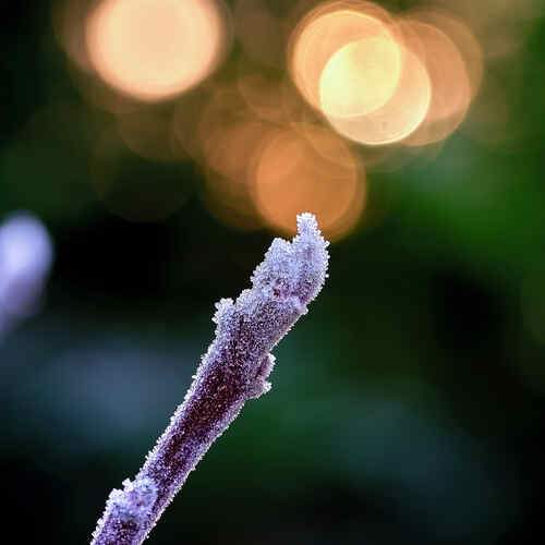 Photo #13000964