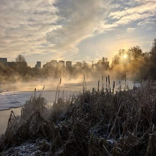 Photo #13001022