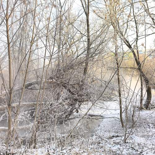 Photo #13001026