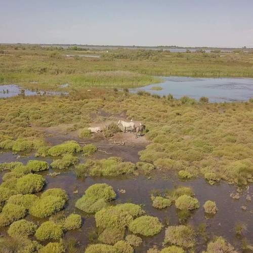 Photo #13001037