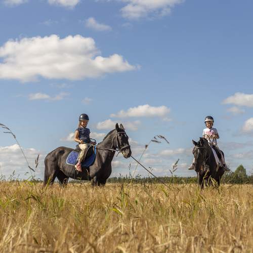 Photo #13001041