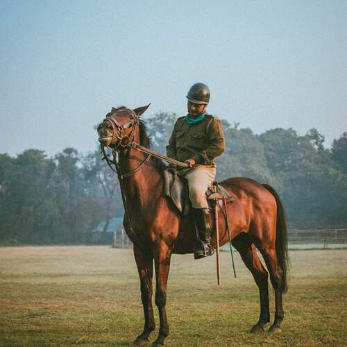 Photo #13001133