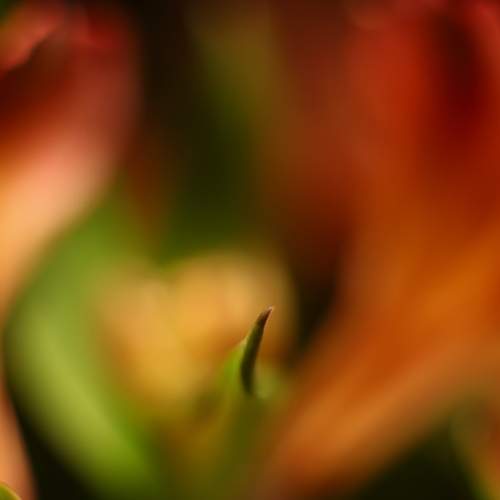 Photo #13001327