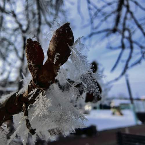 Photo #13001420