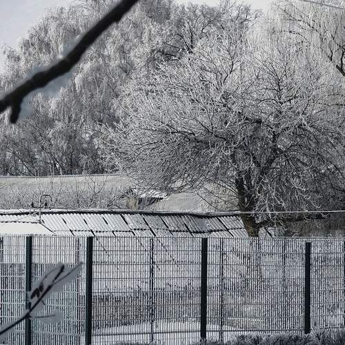 Photo #13001422