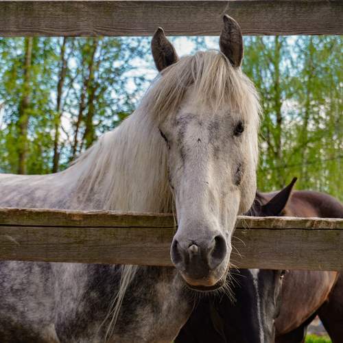 Photo #13001620