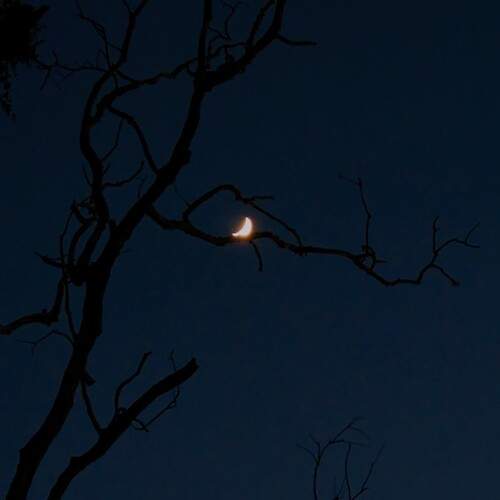Photo #13001713