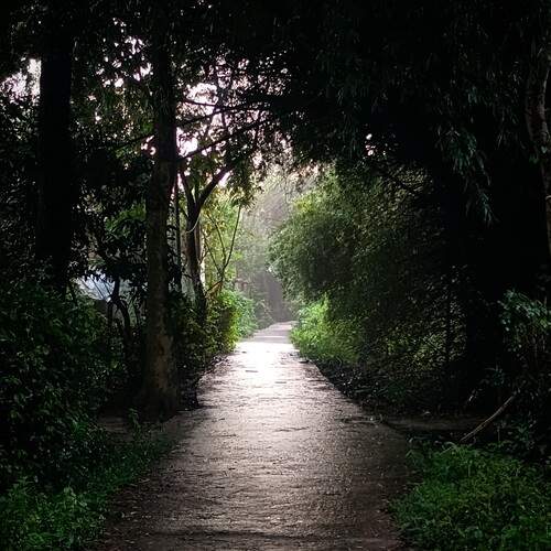 Photo #13001822