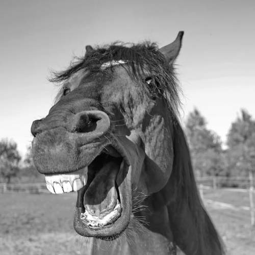 восхищение