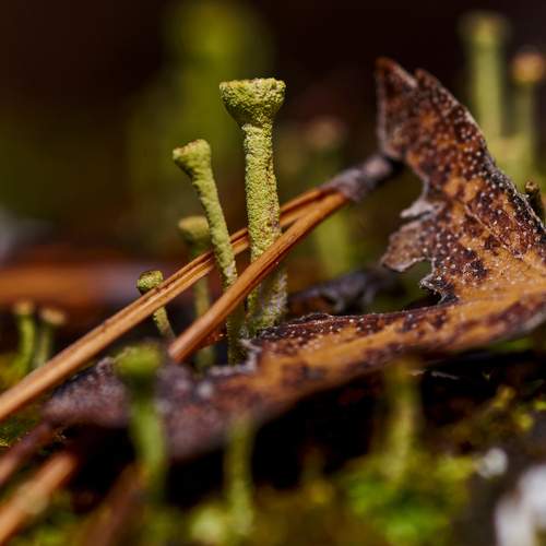Photo #13001883