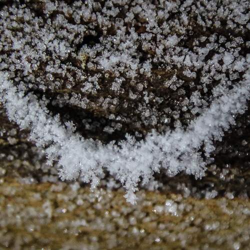 Photo #13001955