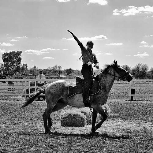 Photo #13002196