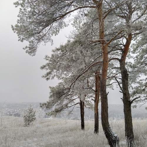 Photo #13002358