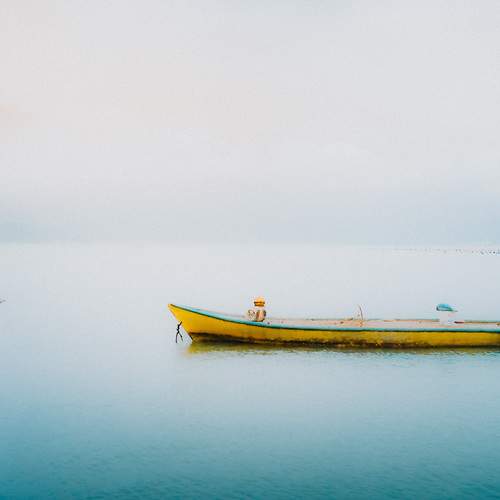 Photo #13002795