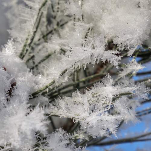 Photo #13002939