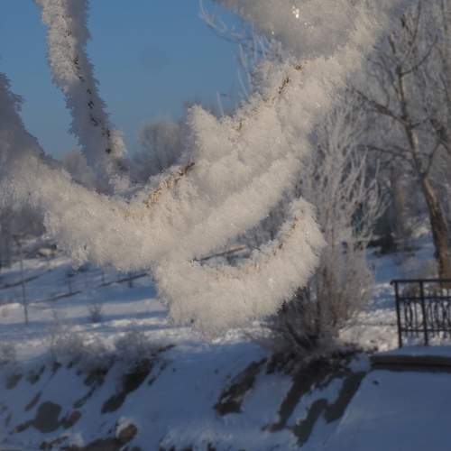 Photo #13002945