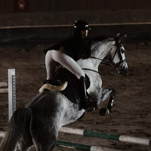 Фотография #13002961