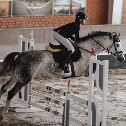 Фотография #13002963