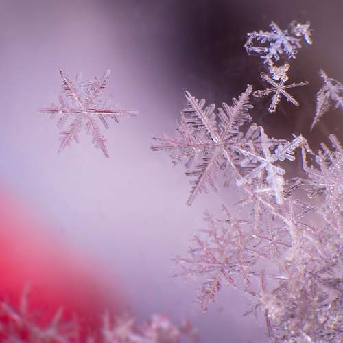 Фотография #13002967