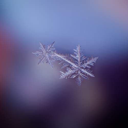 Фотография #13002968