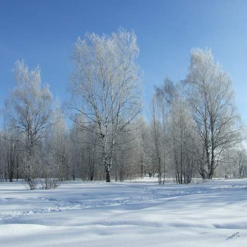Photo #13003088