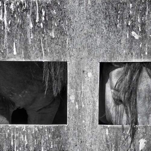 Photo #13003170