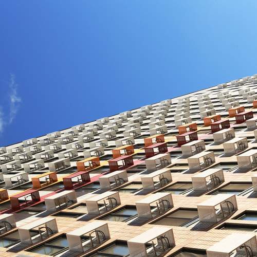 Photo #13003191