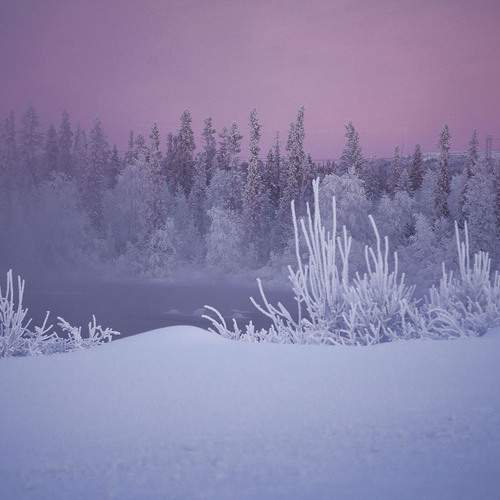 Рисунок зимы