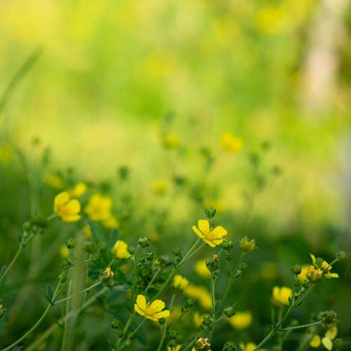 Photo #13003303