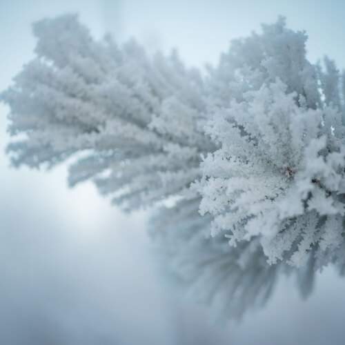 Photo #13003311
