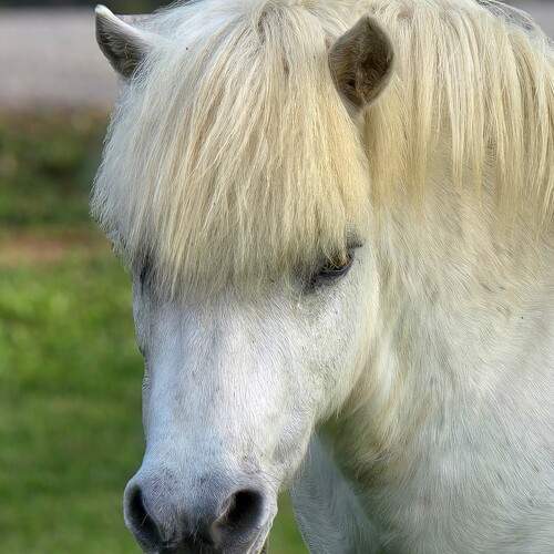 Photo #13003364