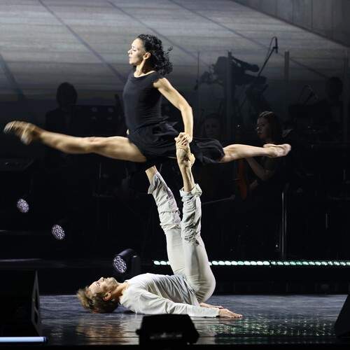 Photo #13003394