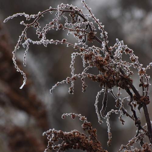 Photo #13003423