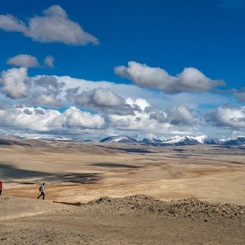 Photo #13003433