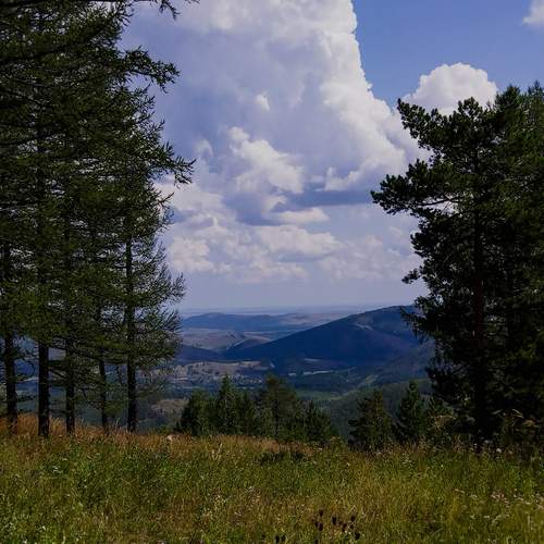 Photo #13003448